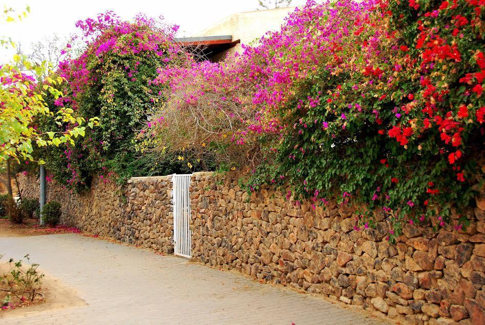 Lesanel - Guest House Arad Ngoại thất bức ảnh